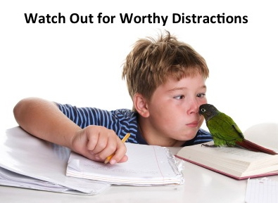 Boy_and_Parrot